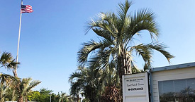 ヤシ販売のザルゲートガーデン ヤシ販売のザルゲートガーデン