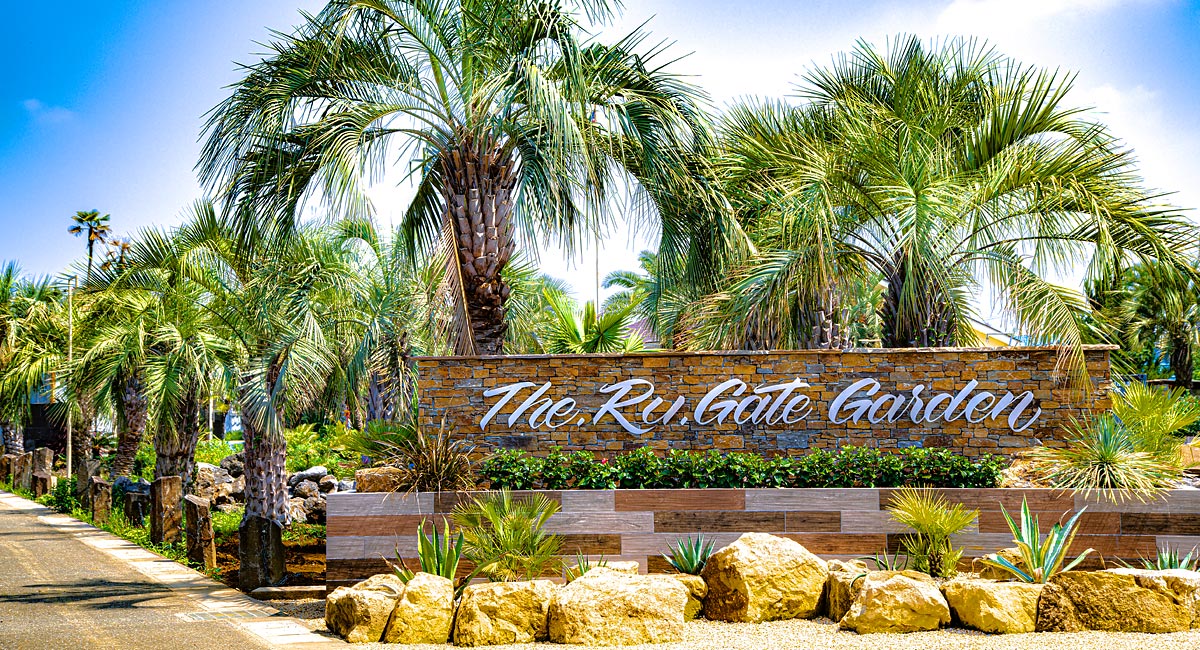 ヤシ販売のザルゲート。埼玉県深谷市でヤシ・ソテツ・ドラセナ等でリゾートを思わせる庭をご提案致します。 ヤシ販売のザルゲート。埼玉県深谷市でヤシ・ソテツ・ドラセナ等でリゾートを思わせる庭をご提案致します。