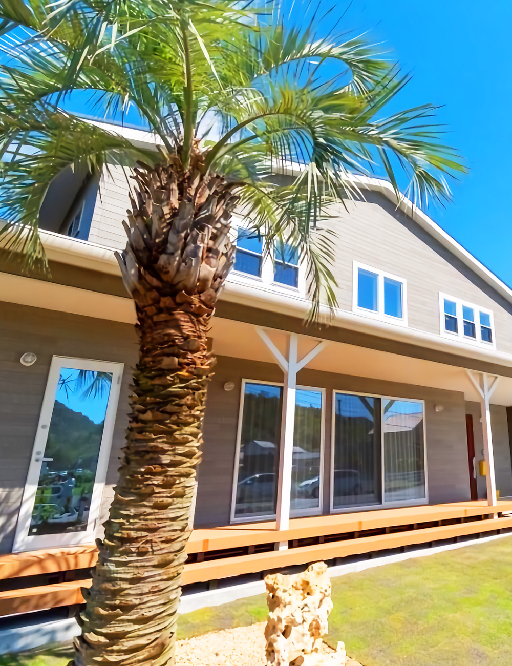 ヤシ販売のザルゲート。埼玉県深谷市でヤシ・ソテツ・ドラセナ等でリゾートを思わせる庭をご提案致します。 ヤシ販売のザルゲート。埼玉県深谷市でヤシ・ソテツ・ドラセナ等でリゾートを思わせる庭をご提案致します。